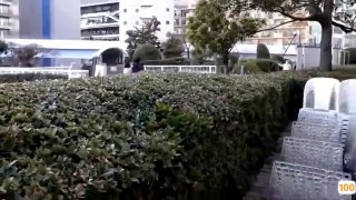 欧美嘉木地板李姐_欧美亚洲精品成人视频